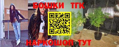 стаф Камышлов