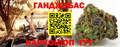 стаф Камышлов