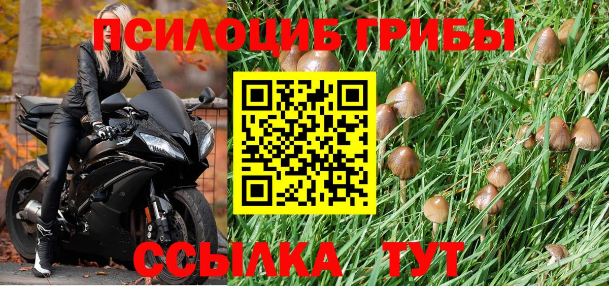 Псилоцибиновые грибы GOLDEN TEACHER  Галлюциногенные грибы GOLDEN TEACHER  Фрязино  Вход с VPN 