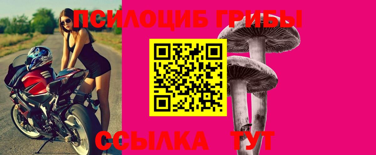 Псилоцибиновые грибы мухоморы Фрязино